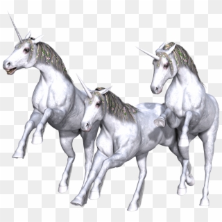 Unicorn Trio Full White - Transparent Mythology Clipart