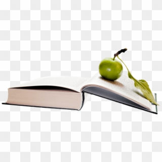 Free Png Apple On Book Png Images Transparent - Apple Book Png Clipart