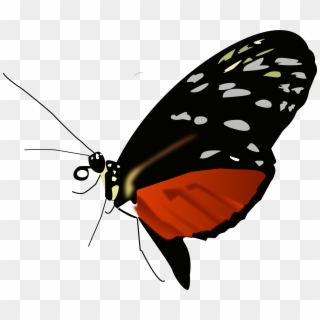 This Free Icons Png Design Of Dark Orange-black Butterfly - Red Black And Orange Butterfly Clipart