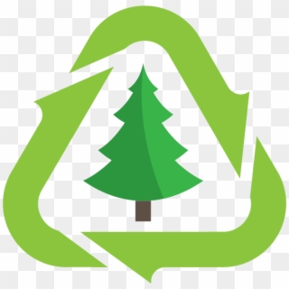 Christmas Tree Pickup - Christmas Tree Recycling Clipart