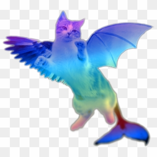 Flying Cat Png - Flying Cat No Background Clipart