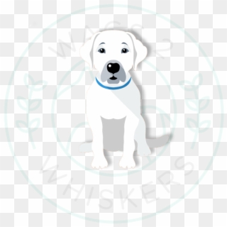 White Dog - Dogo Argentino Clipart