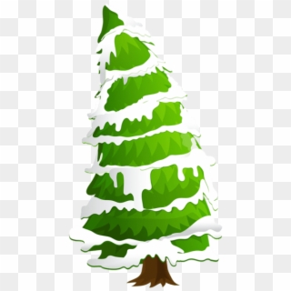 Free Png Pine Tree With Snow Png Images Transparent - Christmas Tree Clipart