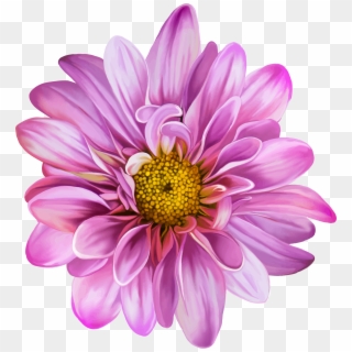 Purple Flower White Background Clipart