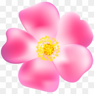 Pink Rose Blossom Png Transparent Clip Art Image - Blossom Transparent Png