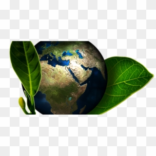 Our Top 10 Sustainable Initiatives From Around The - Awareness About Environment Protection Clipart