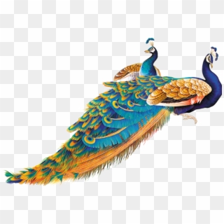 Rooster, Peacock, Peacock Bird, Peafowl, Peacocks, - طائر الطاووس Png Clipart