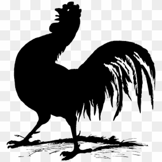 1424 Rooster Silhouette Free Vintage Clip Art - Rooster - Png Download