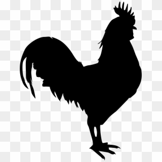 Chicken Silhouette Png Download - Gallo Png Clipart