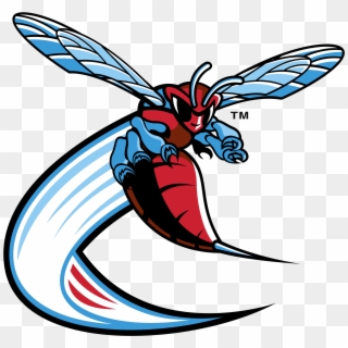 Delaware State Hornets Logo Png Transparent - Delaware State Athletics Logo Clipart