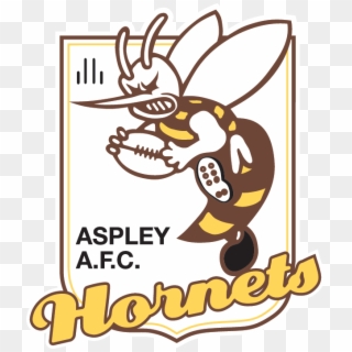 Hornets - Aspley Hornets Clipart