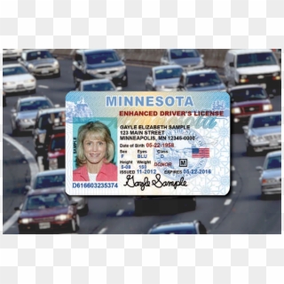 Minnesota Drivers License Clipart