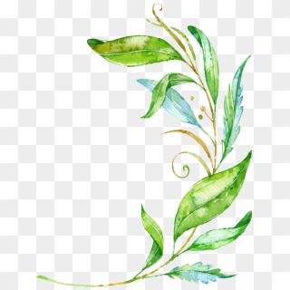 Watercolor Branch Png - Green Leaf Png Vector Clipart
