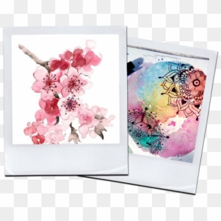 Solicitá Más Info Acá - Simple Watercolor Cherry Blossom Clipart