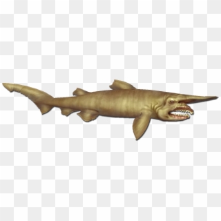 Bronze Hammerhead Shark , Png Download - Bronze Hammerhead Shark Clipart