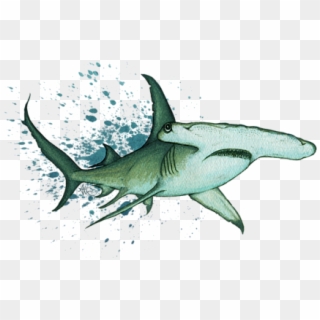 Click And Drag To Re-position The Image, If Desired - Requiem Shark Clipart