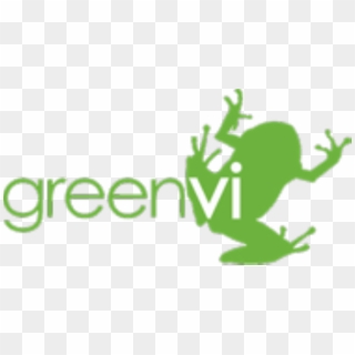 Green Vi Logo Clipart