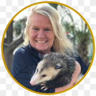 Mary Diddle - Virginia Opossum Clipart