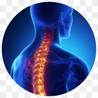Real Patients - Spine Computer Clipart