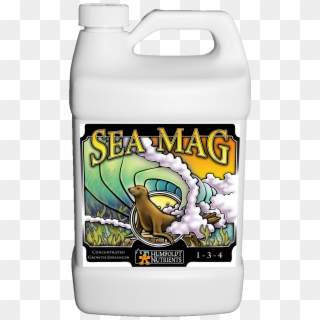 Sea Mag Gallon - Cartoon Clipart