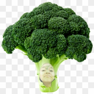 Broccoli Clipart