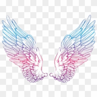 #angelwings #wings #angel #blue #pink #purple #tumblr - Vampire Goddess Drawing Clipart