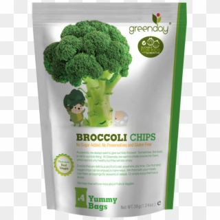 Green Day Broccoli Clipart
