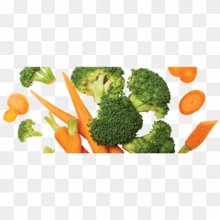 What's Inside - Broccoli Clipart