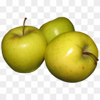 Apples Fruit Golden Delicious Healthy - Granny Smith Clipart
