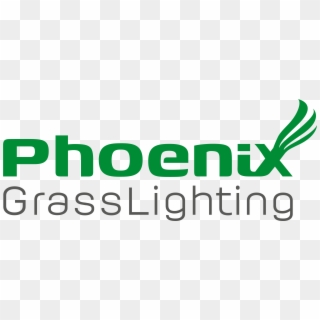 Logo Final Phoenix Transparent - Graphics Clipart