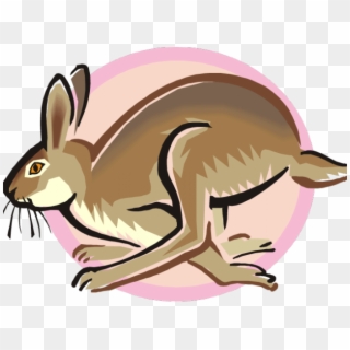 Arctic Hare Clipart Rabbite - Cartoon Hopping Rabbit - Png Download