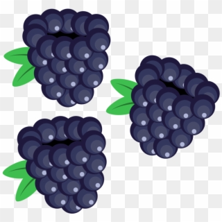 Berry Vector Blackberry - Blackberry Clipart - Png Download