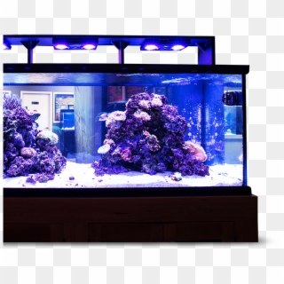 Layer - Aquarium Lighting Clipart