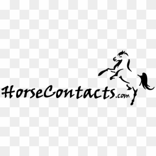 Horse Contacts Logo Png Transparent - Calligraphy Clipart