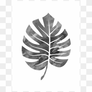 Black And White Monstera Leaf Pattern Clipart