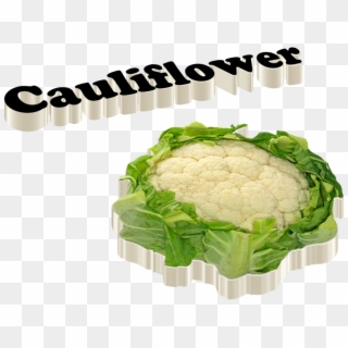 Cauliflower Png Images - Cauliflower Clipart