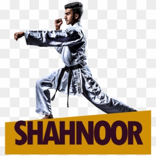 Syed Shahnoor Hussain Zaidi Karate Kid Magnus Sports - Poster Clipart