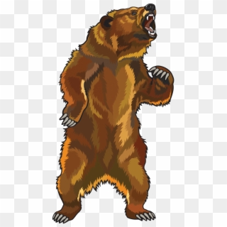 Angry Grizzly Bear - Standing Grizzly Bear Clipart - Png Download