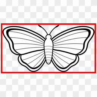 Transparent Library Astonishing Image For Popular Clip - Simple Sketch Easy Butterfly Drawing - Png Download