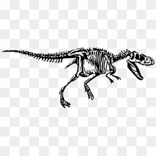Svg Dinosaur T - T Rex Skeleton Png Clipart
