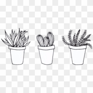 Aesthetic Tumblr Transparent Sketches Related Keywords Cactus