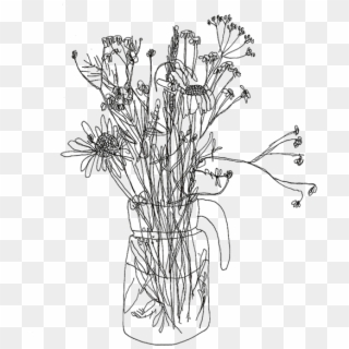 Doodle Transparent Cactus Tumblr Sketch Coloring Page - Flower Tumblr Line Art Clipart