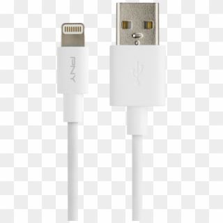 White Lightning Charge & Sync Cable - Usb Cable Clipart