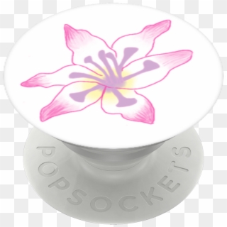 Gladiolus Flower, Popsockets - Lily Clipart