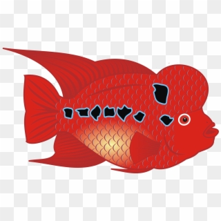 This Free Icons Png Design Of Flowerhorn Fish Clipart