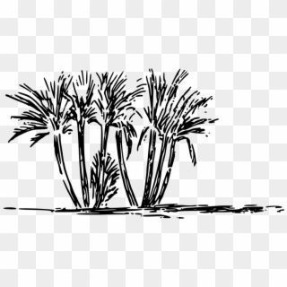 Tree Clump Clipart Icon Png - Desert Oasis Clipart Black And White Transparent Png