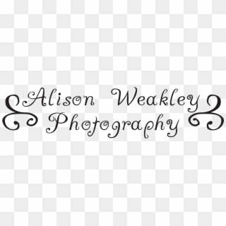 Alison Weakley Photography - Calligraphy Clipart