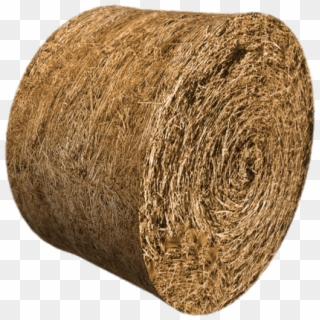 Download - Hay Bale Clipart - Png Download