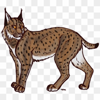 Lynx Transparent - Lynx Png Clipart