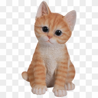 1234 X 1859 11 - Kitten Ginger Clipart
